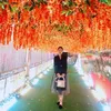 timlichbinh