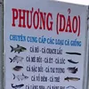 cagiongphuongdao