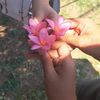 mariana.alamilla5