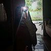 amanda_6732