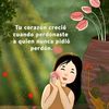 luzdelmundo48
