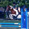 safraztheponyqoukka