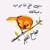 user12338814462837