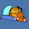 garfield.rl
