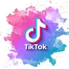 tiktok_hikousikisub
