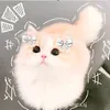 karkura.loon