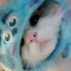 hoanqtuz_
