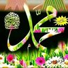 akhtarrasool1381