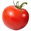tomato.081