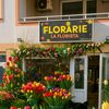florarie.pipera