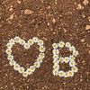 bi.cha97