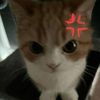 love_507j