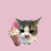 may_purba97