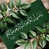 amar08344