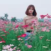 hoanggiang180222