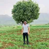 siyabend810