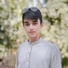 hamid72008