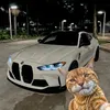 courtesyama2