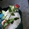 k_hocane7463