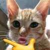 ctvaoquan