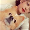 reren_663