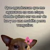 serenidad227