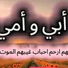 user7938121792207