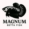magnumbettafish234