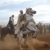 el.mahdi50