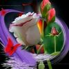 user1118360225050
