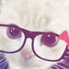 yz.kzckp