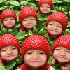 elle_sirawan_