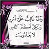 Mlm farin buzu