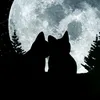 darkcat_luno