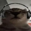 voud56