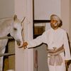 ali_almamari79