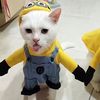 _uzi_293