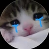 dongbuhano8o1