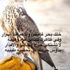 aaw7i_e