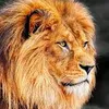 user1218160187308
