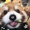 dianasaurous0