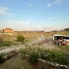 feyzagunes45