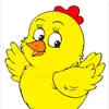 chick9822