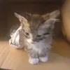 karina_00_14