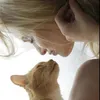 fox_6140