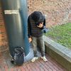 luis_964_