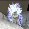 tungcayco