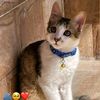 user7340805466163