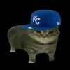 rizzhzy