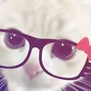 kittyyy906